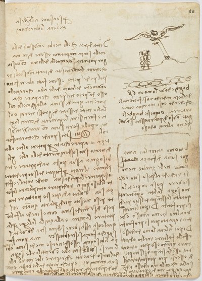 Codice sul volo degli uccelli, c. 1505-06, manoscritto su carta, cc. 18, foglio 16 recto da Leonardo da Vinci